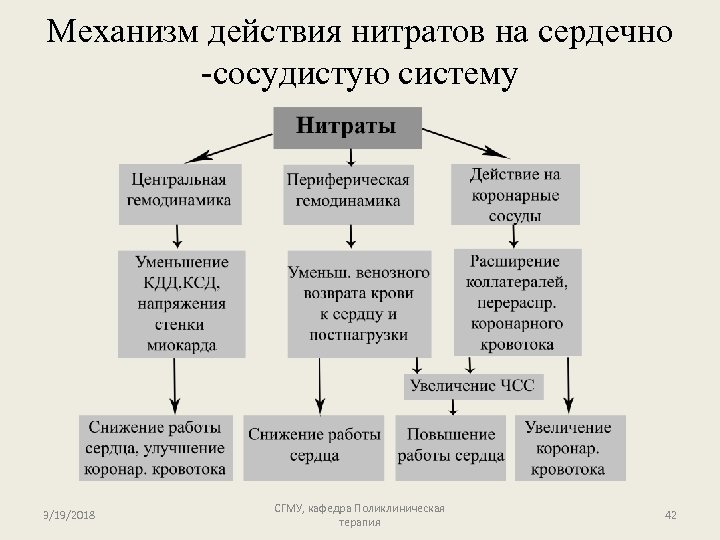 Механизм действия нитратов на сердечно -сосудистую систему 3/19/2018 СГМУ, кафедра Поликлиническая терапия 42 