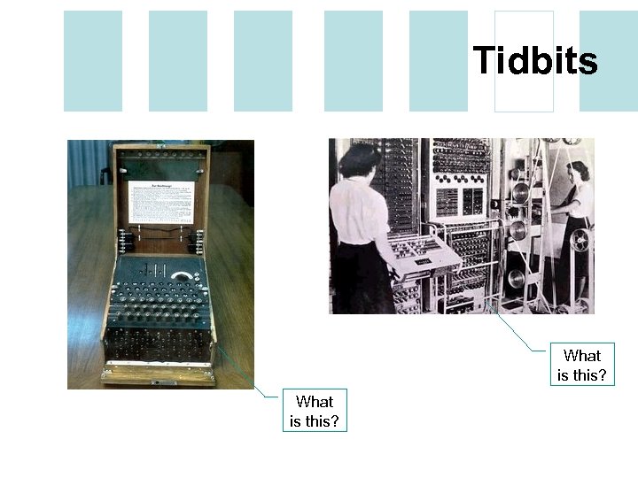 Tidbits What is this? 