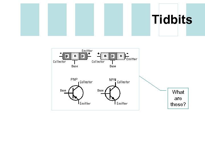 Tidbits What are these? 