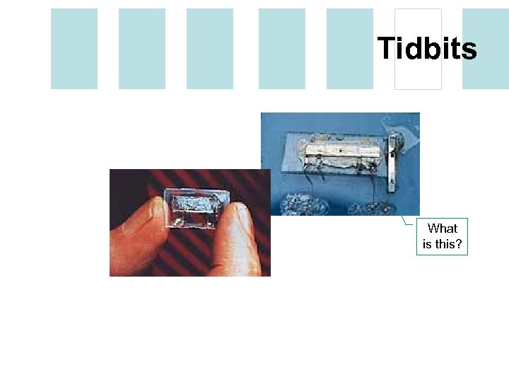 Tidbits What is this? 