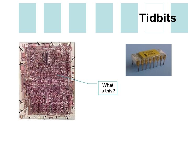 Tidbits What is this? 