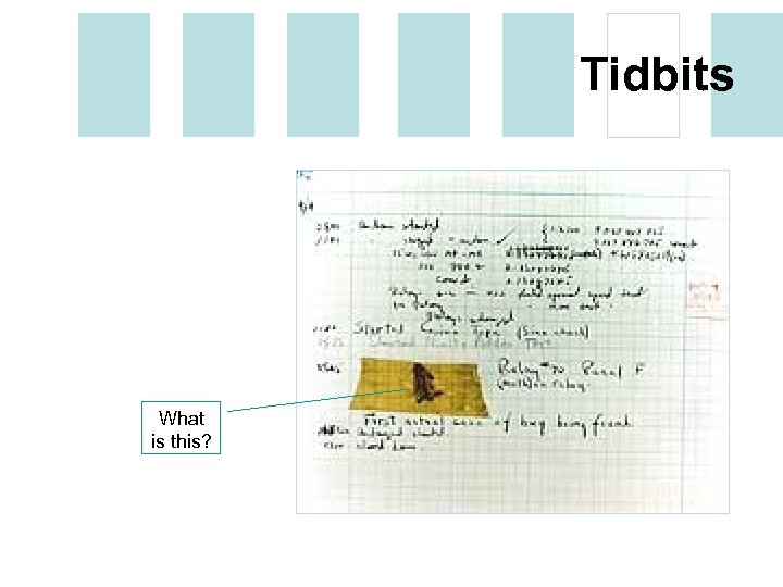 Tidbits What is this? 