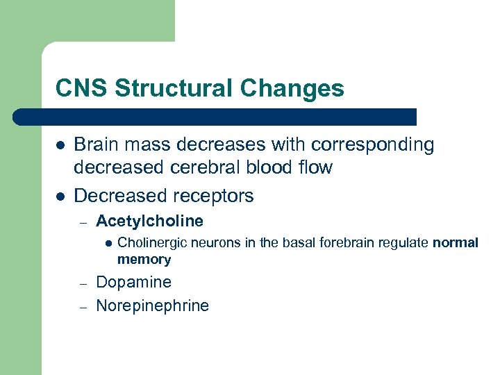 CNS Structural Changes l l Brain mass decreases with corresponding decreased cerebral blood flow