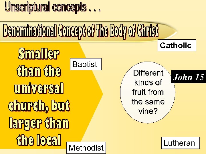 Catholic Baptist Methodist Different kinds of fruit from the same vine? John 15 Lutheran
