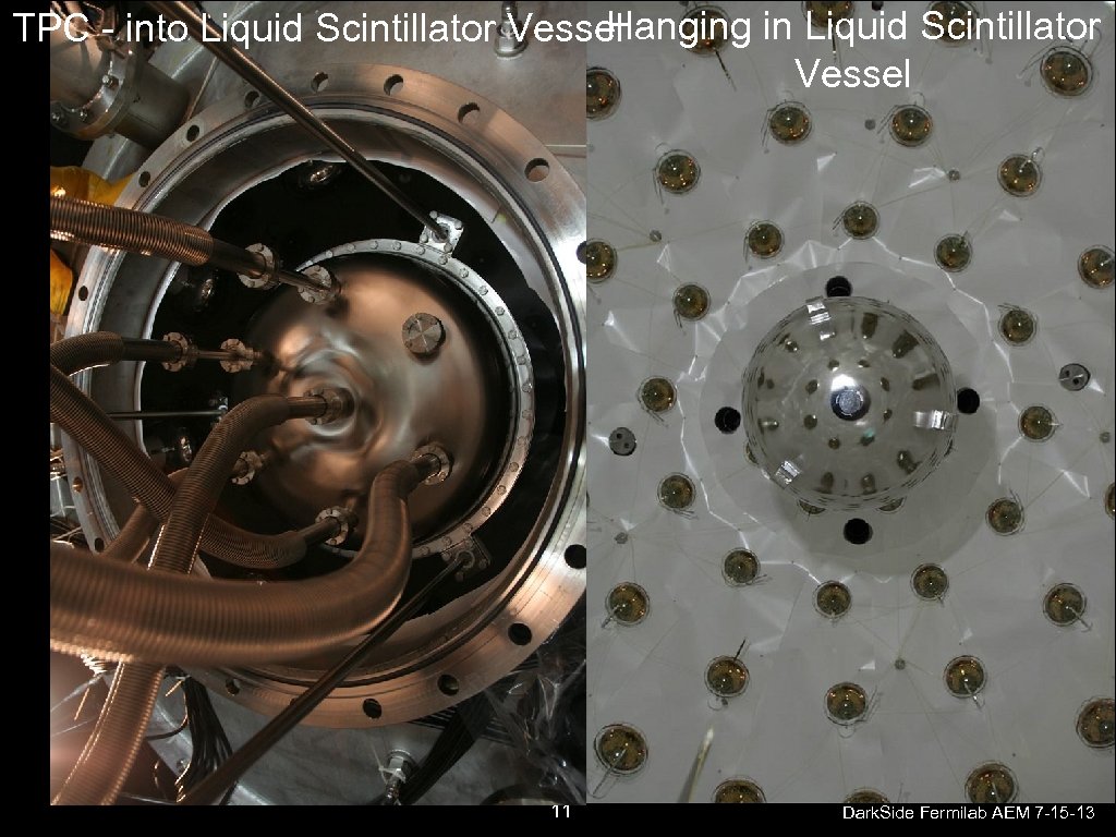 Hanging in Liquid Scintillator TPC - into Liquid Scintillator Vessel 11 Dark. Side Fermilab