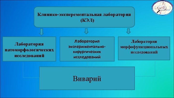Клинико-эксперементальная лаборатория (КЭЛ) Лаборатория патоморфологических исследований Лаборатория экспериментальнохирургических исследований Виварий Лаборатория морфофункциональных исследований 