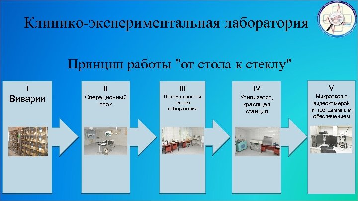 Клинико-экспериментальная лаборатория Принцип работы "от стола к стеклу" I Виварий II IV V Операционный