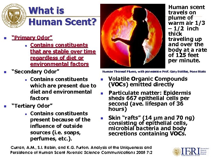 Human scent travels on plume of warm air 1/3 – 1/2 inch thick traveling