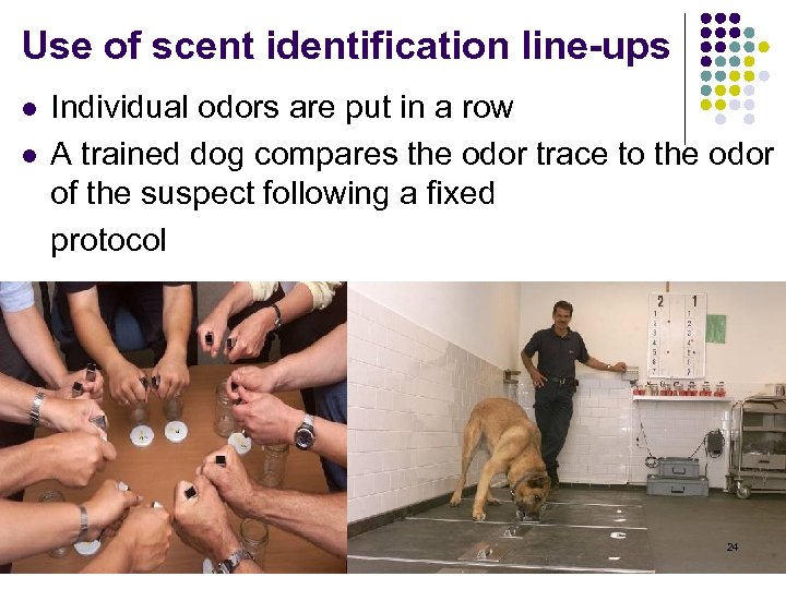 Use of scent identification line-ups l l Individual odors are put in a row