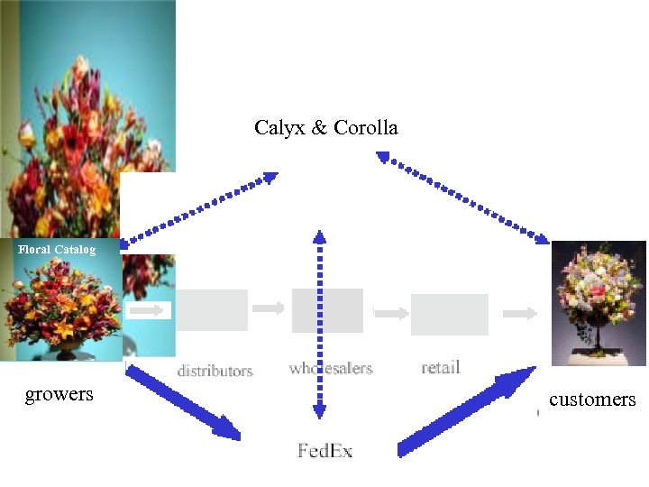 Calyx & Corolla Floral Catalog growers customers 
