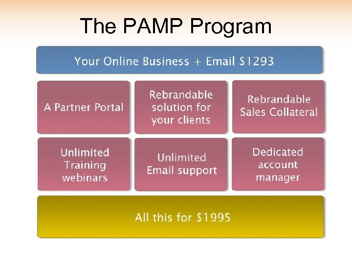 The PAMP Program 