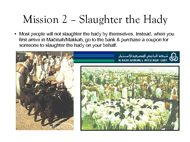 Mission 2 – Slaughter the Hady • Most people will not slaughter the hady