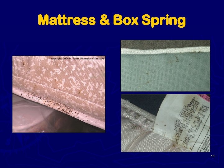 Mattress & Box Spring 13 