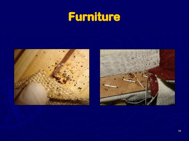 Furniture 16 
