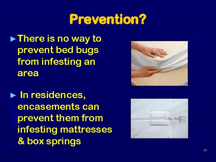 Prevention? ► There is no way to prevent bed bugs from infesting an area