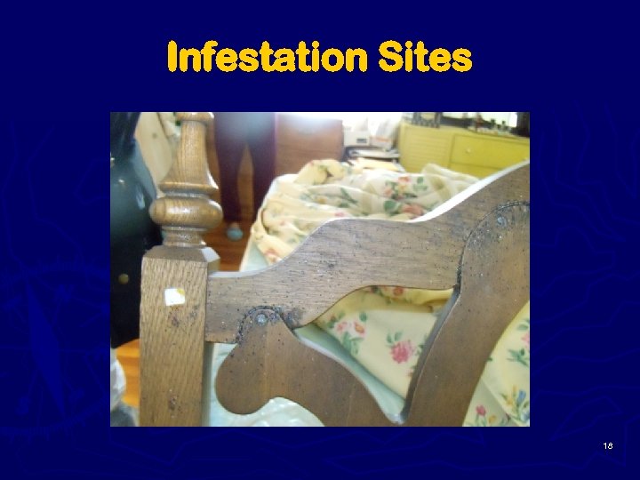 Infestation Sites 18 