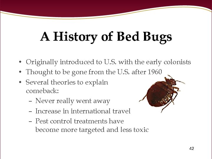A History of Bed Bugs • Originally introduced to U. S. with the early