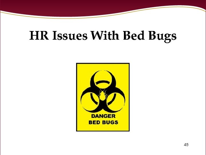 HR Issues With Bed Bugs 45 