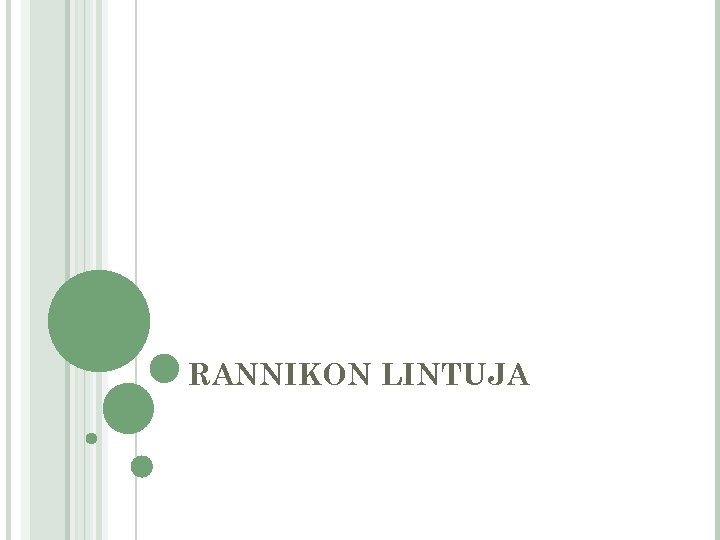 RANNIKON LINTUJA 