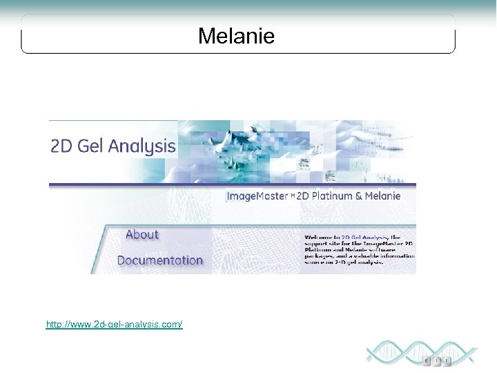 Melanie http: //www. 2 d-gel-analysis. com/ 