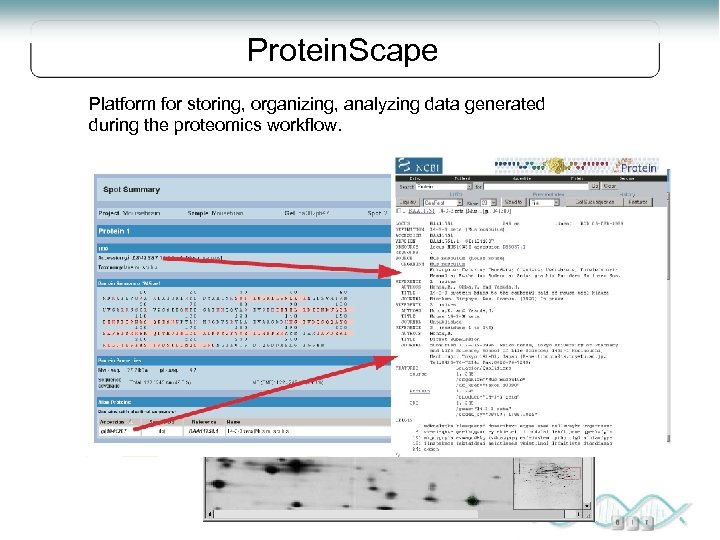 Protein. Scape Platform for storing, organizing, analyzing data generated during the proteomics workflow. •