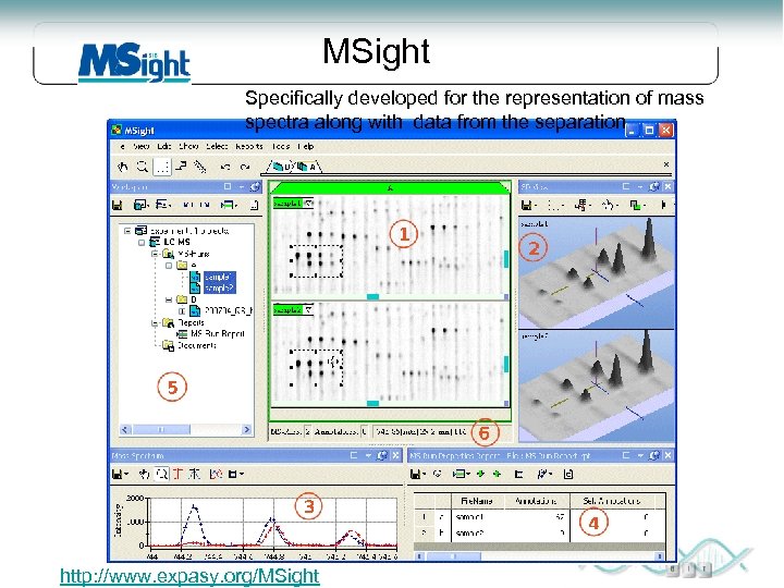 MSight Specifically developed for the representation of mass spectra along with data from the