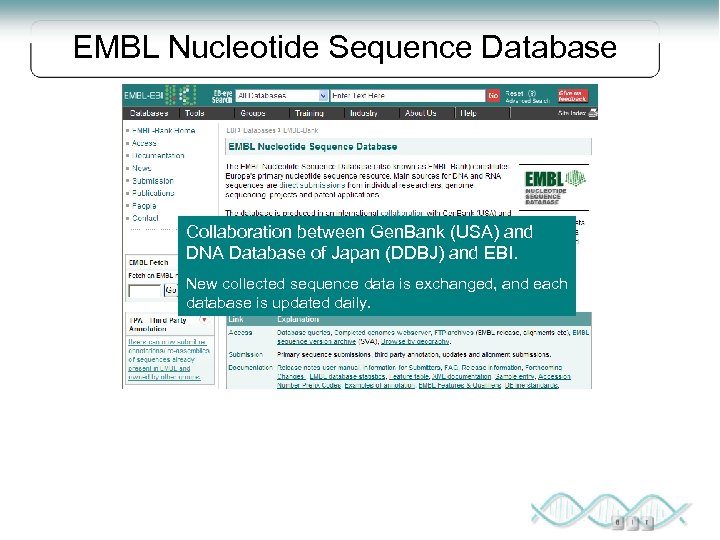 EMBL Nucleotide Sequence Database Collaboration between Gen. Bank (USA) and DNA Database of Japan