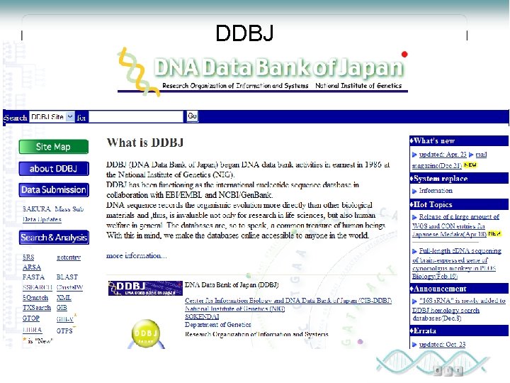 DDBJ 