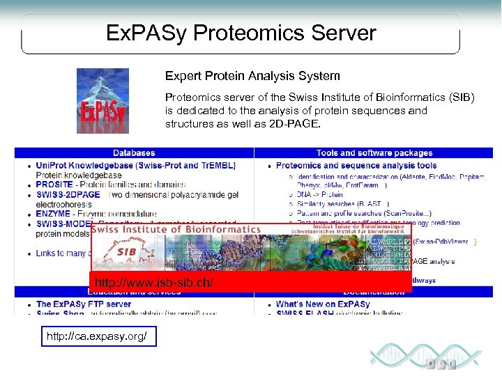Ex. PASy Proteomics Server Expert Protein Analysis System Proteomics server of the Swiss Institute
