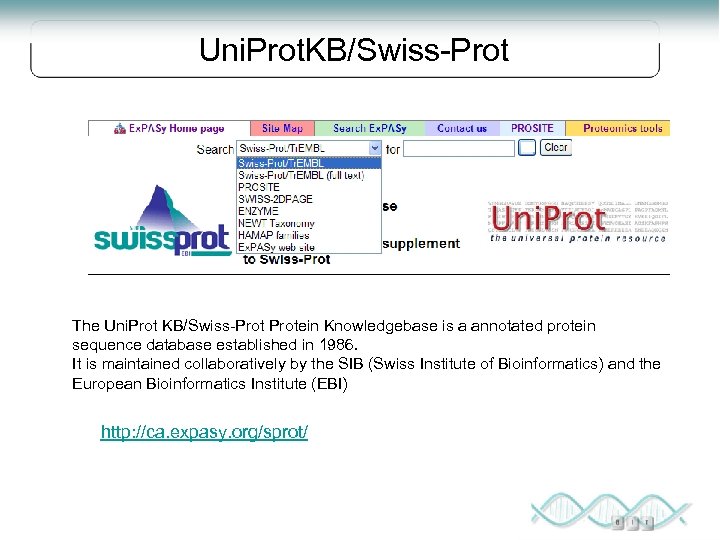 Uni. Prot. KB/Swiss-Prot The Uni. Prot KB/Swiss-Protein Knowledgebase is a annotated protein sequence database