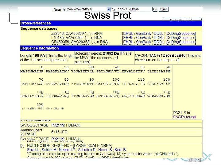 Swiss Prot 
