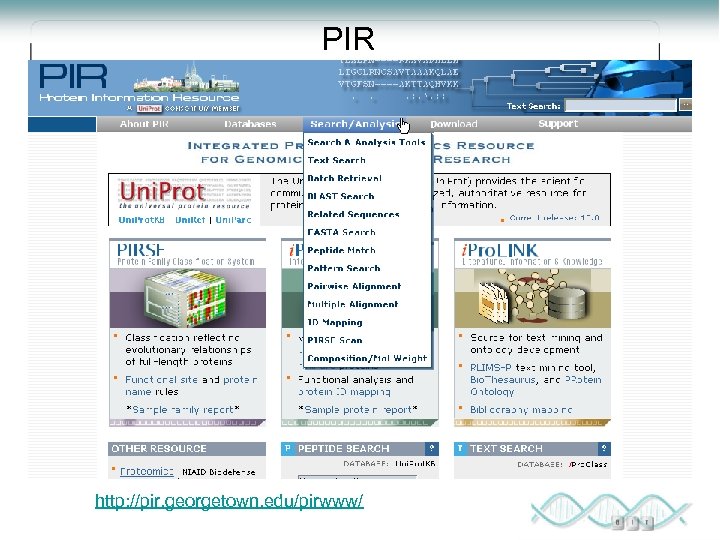 PIR http: //pir. georgetown. edu/pirwww/ 