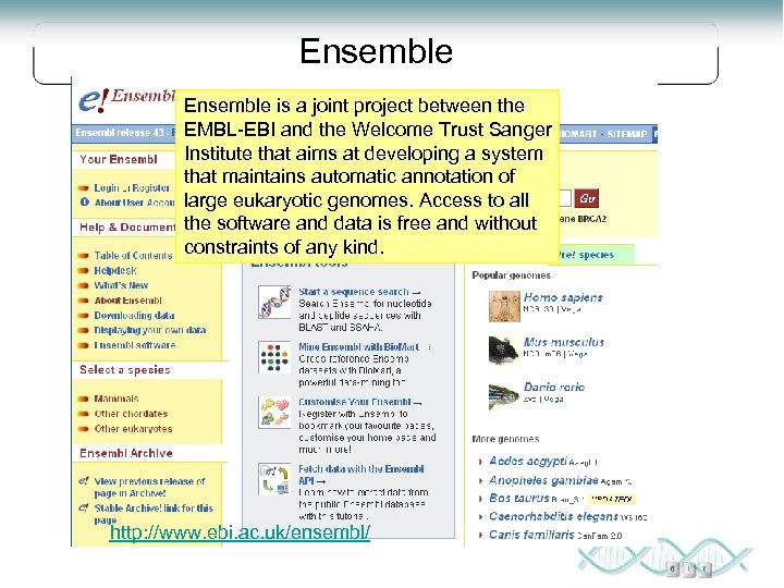 Ensemble is a joint project between the EMBL-EBI and the Welcome Trust Sanger Institute