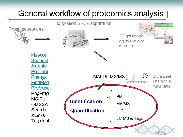 General workflow of proteomics analysis Digestion and/or separation Proteins/peptides 2 D gel image aquisition