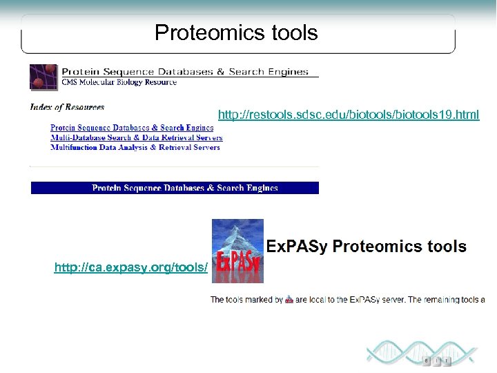 Proteomics tools http: //restools. sdsc. edu/biotools 19. html http: //ca. expasy. org/tools/ 