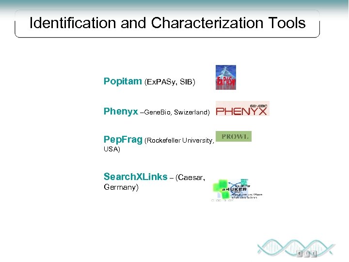 Identification and Characterization Tools Popitam (Ex. PASy, SIB) Phenyx –Gene. Bio, Swizerland) Pep. Frag