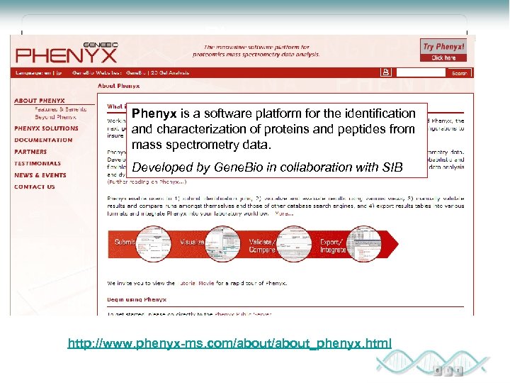 Phenyx is a software platform for the identification and characterization of proteins and peptides