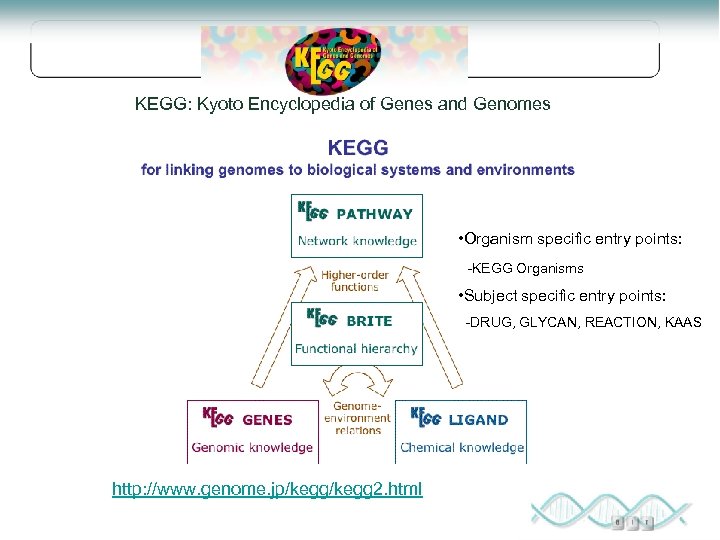 KEGG: Kyoto Encyclopedia of Genes and Genomes • Organism specific entry points: -KEGG Organisms