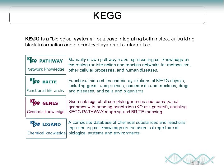 KEGG is a “biological systems” database integrating both molecular building block information and higher-level