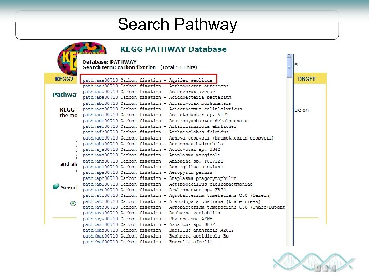 Search Pathway Carbon fixation 