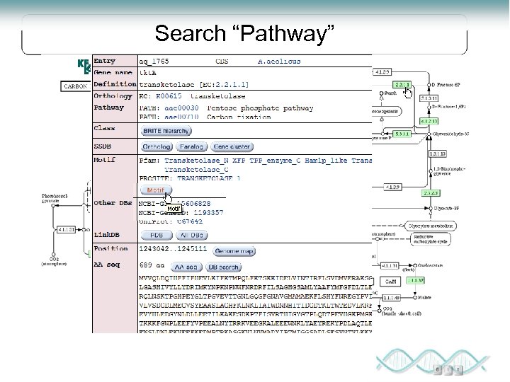 Search “Pathway” 