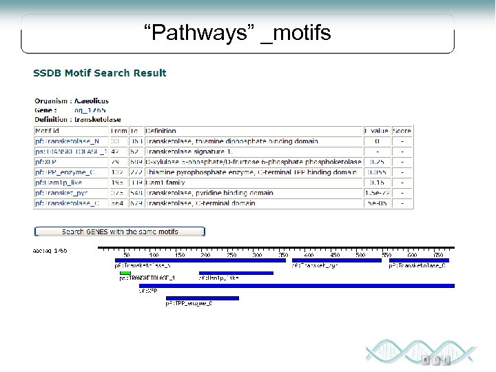 “Pathways” _motifs 