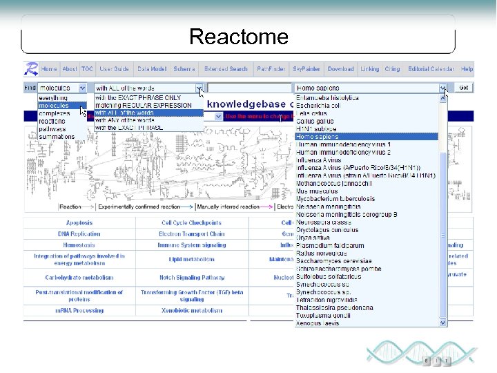 Reactome 