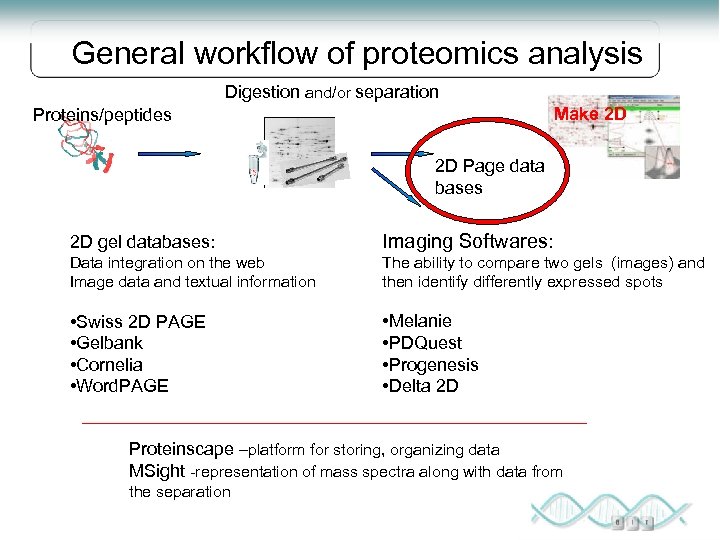 General workflow of proteomics analysis Digestion and/or separation Make 2 D Proteins/peptides 2 D