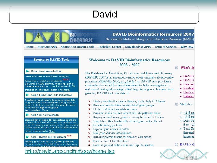 David http: //david. abcc. ncifcrf. gov/home. jsp 