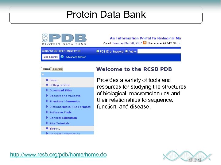 Protein Data Bank Provides a variety of tools and resources for studying the structures