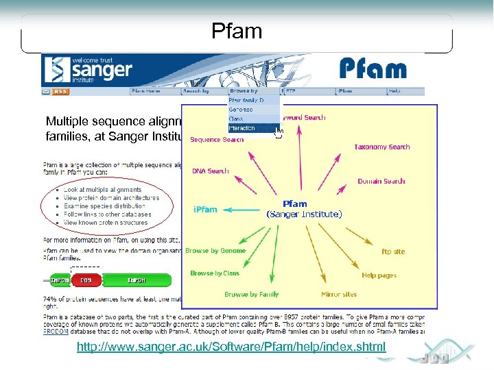 Pfam Multiple sequence alignments and HMMs of protein domains and families, at Sanger Institute.