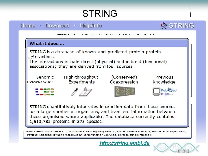 STRING http: //string. embl. de 