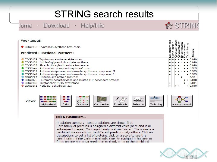 STRING search results 