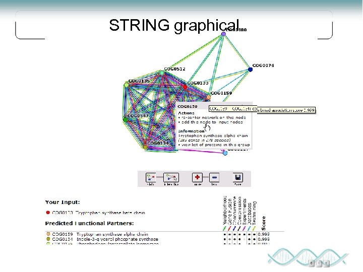 STRING graphical 